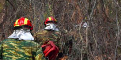 21 Ceset yanan Ormanlık Alanlarda bulundu