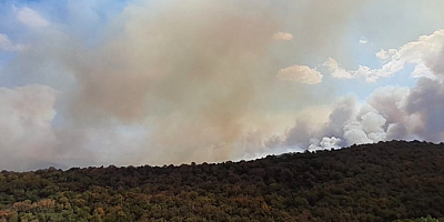 Gümülcinedeki Türk Köylerindeki yangınlara Yunan İtfaiyesi gitmiyor iddiaları