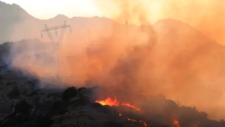 Girit Adası Yerapetra ve Afrati'de orman yangını