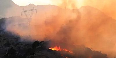 Girit Adası Yerapetra ve Afrati'de orman yangını