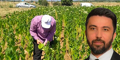 Tütün üreticilerine Özgür Ferhat'ın acil destek çağrısı 
